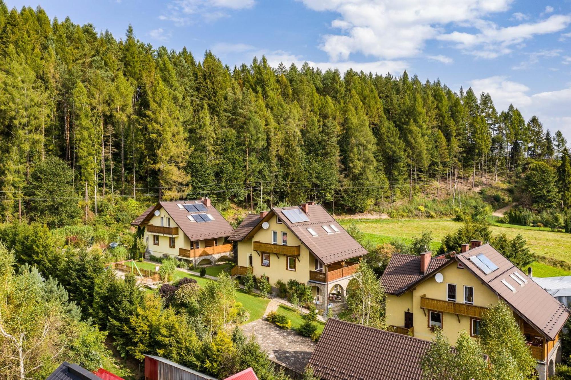 Apartamenty Zielona Owieczka Niedzica-Zamek Zewnętrze zdjęcie