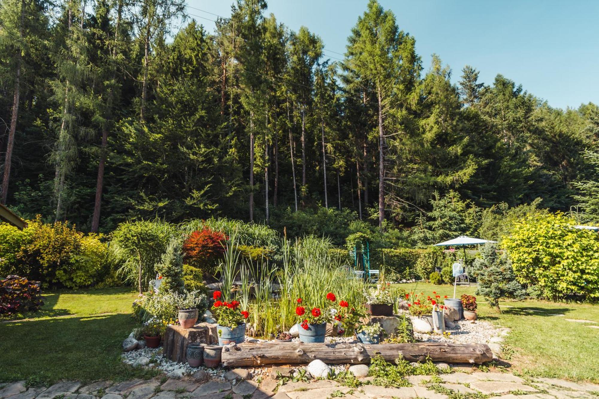 Apartamenty Zielona Owieczka Niedzica-Zamek Zewnętrze zdjęcie