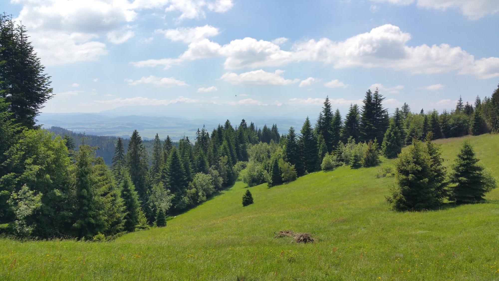Apartamenty Zielona Owieczka Niedzica-Zamek Zewnętrze zdjęcie